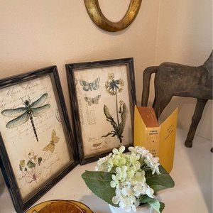 World Market Botanical Pictures